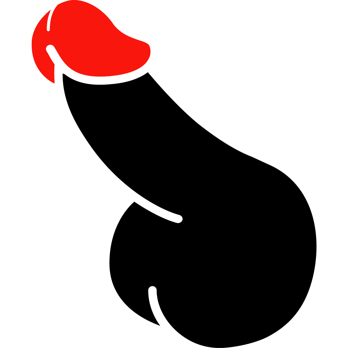 鸡巴付